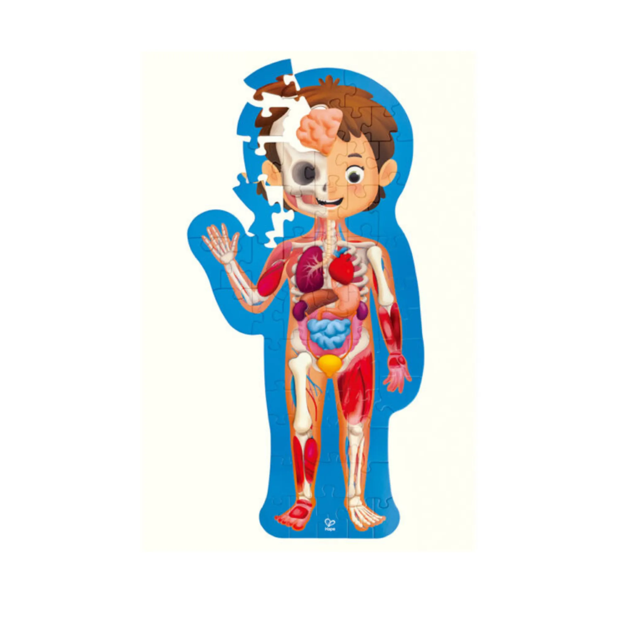 Human Body Puzzle