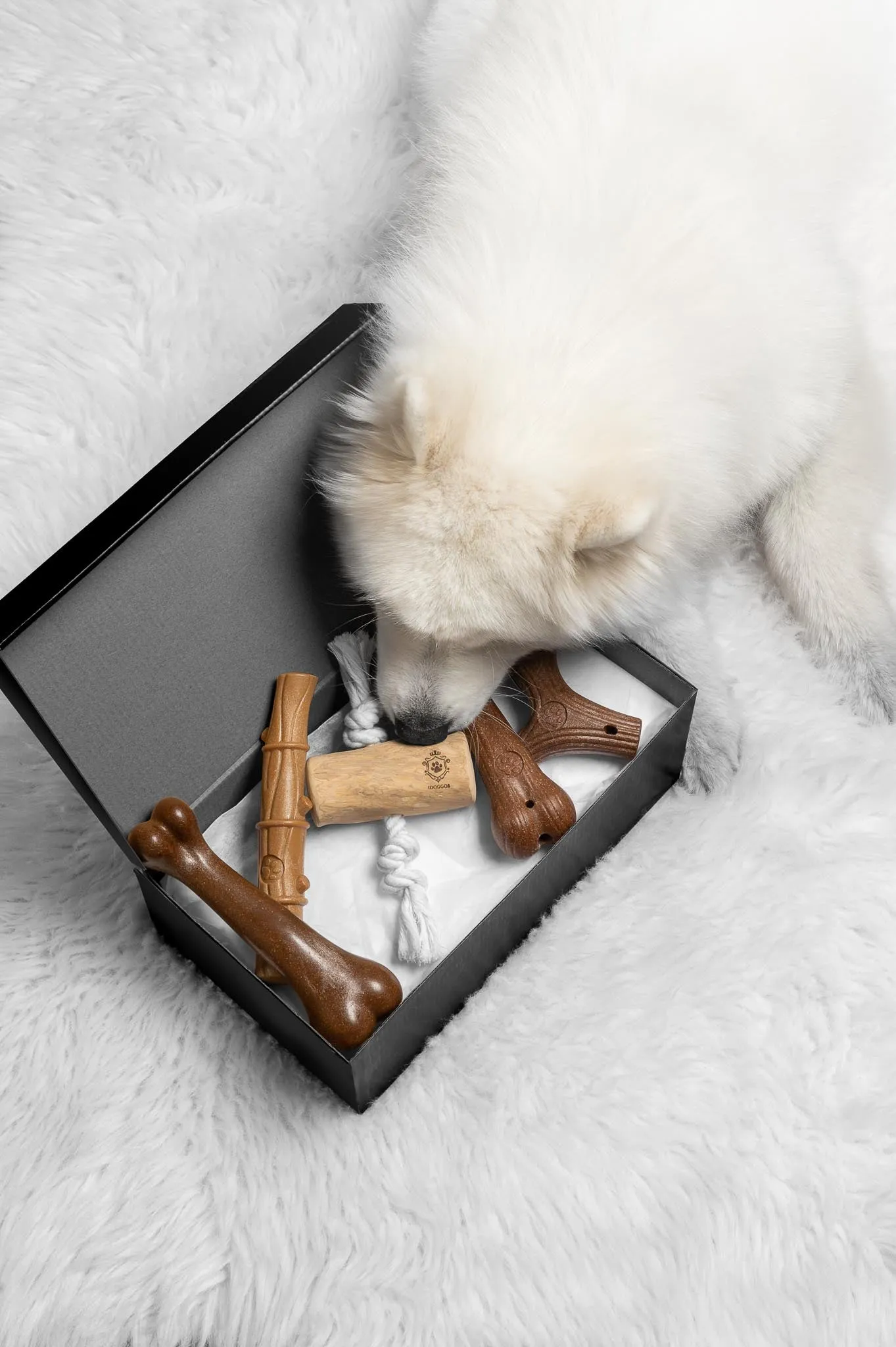 Mystery Chew Box