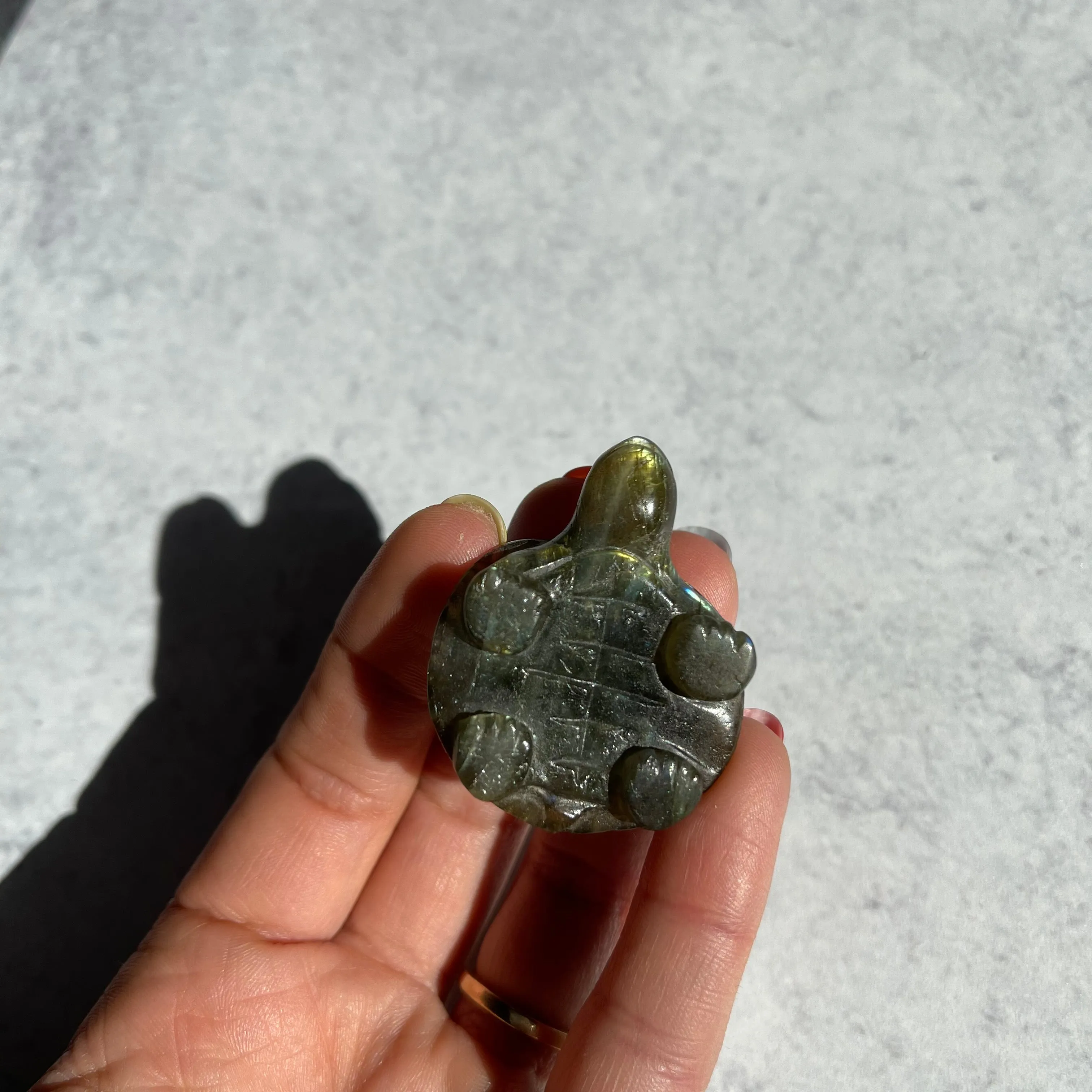 Small Labradorite Turtle