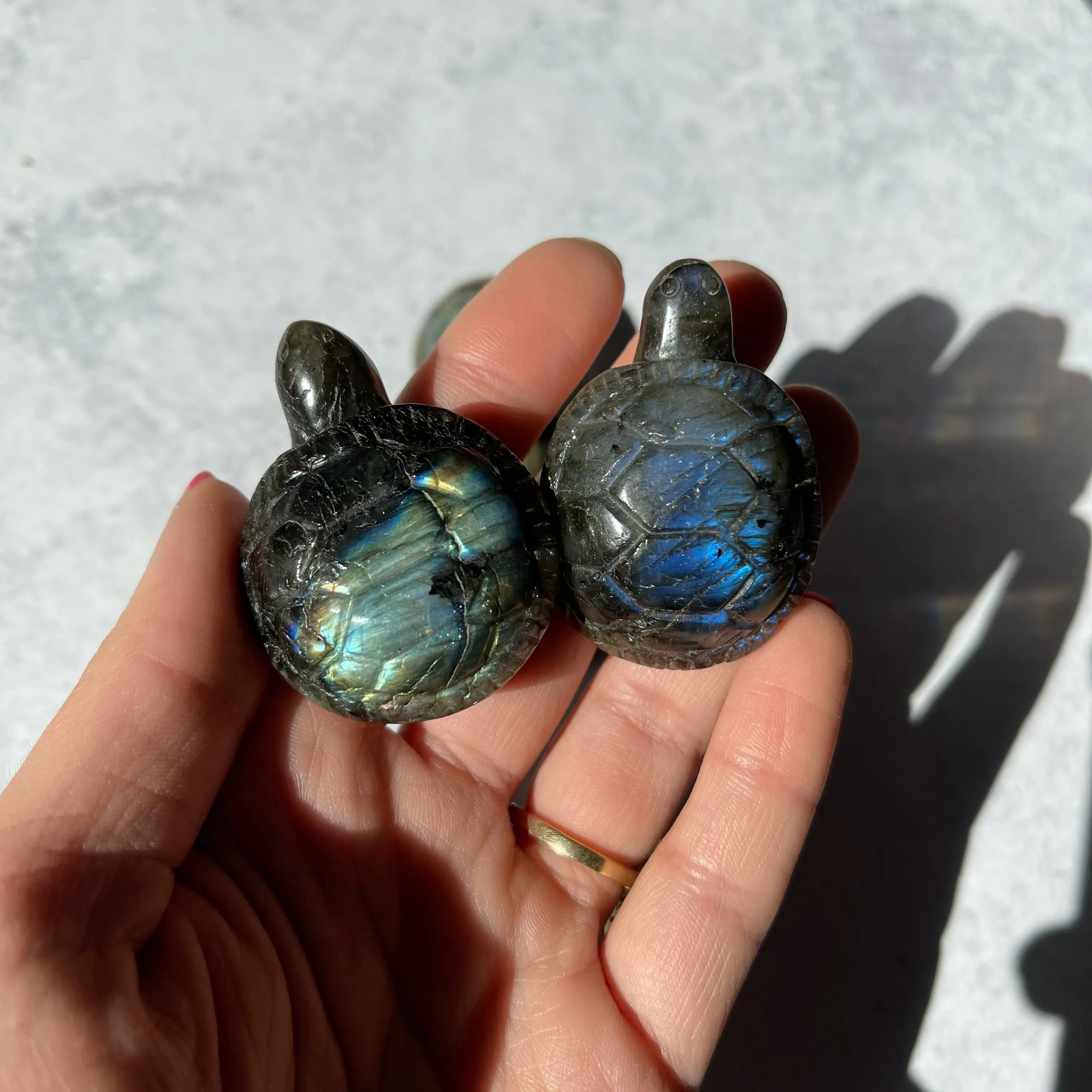 Small Labradorite Turtle