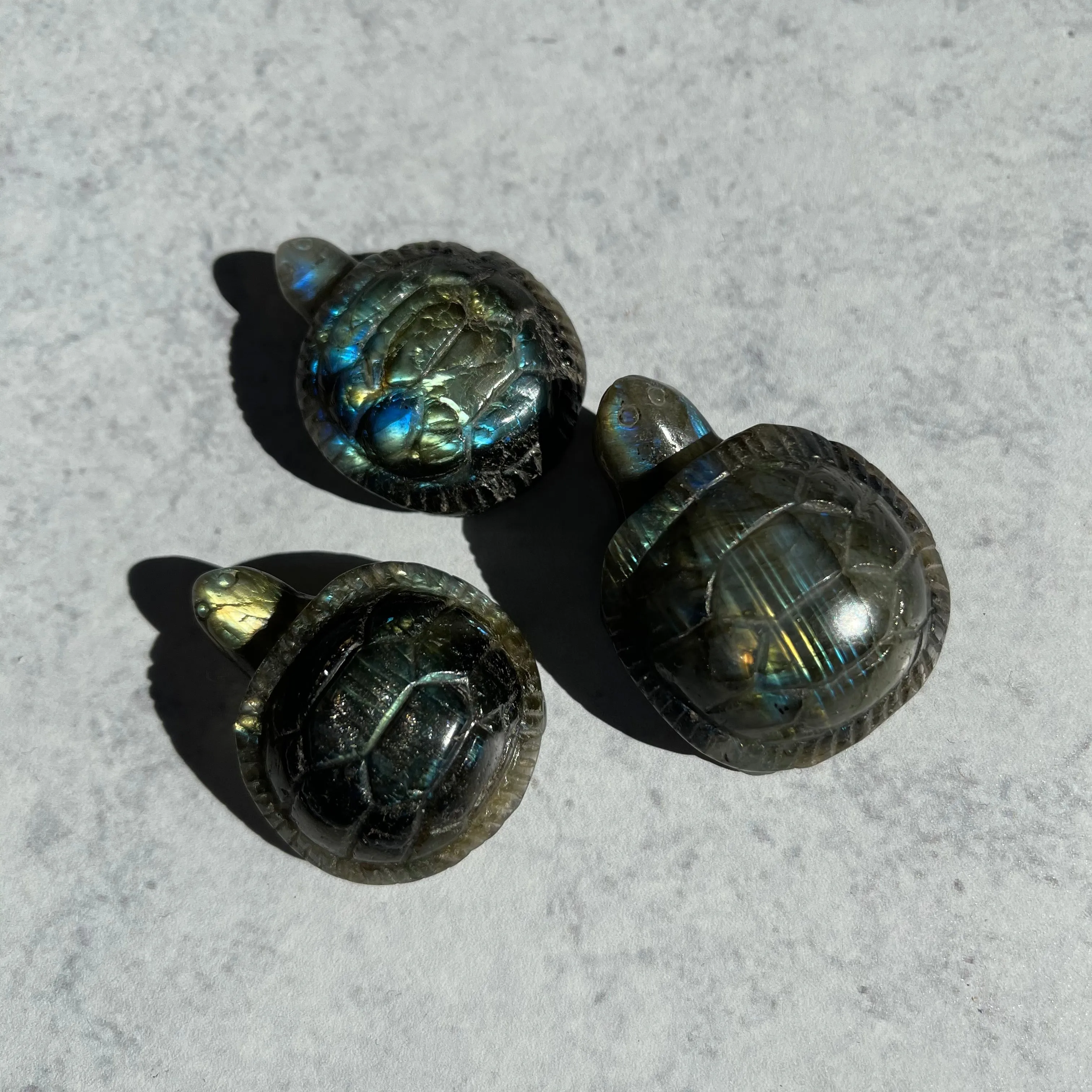Small Labradorite Turtle