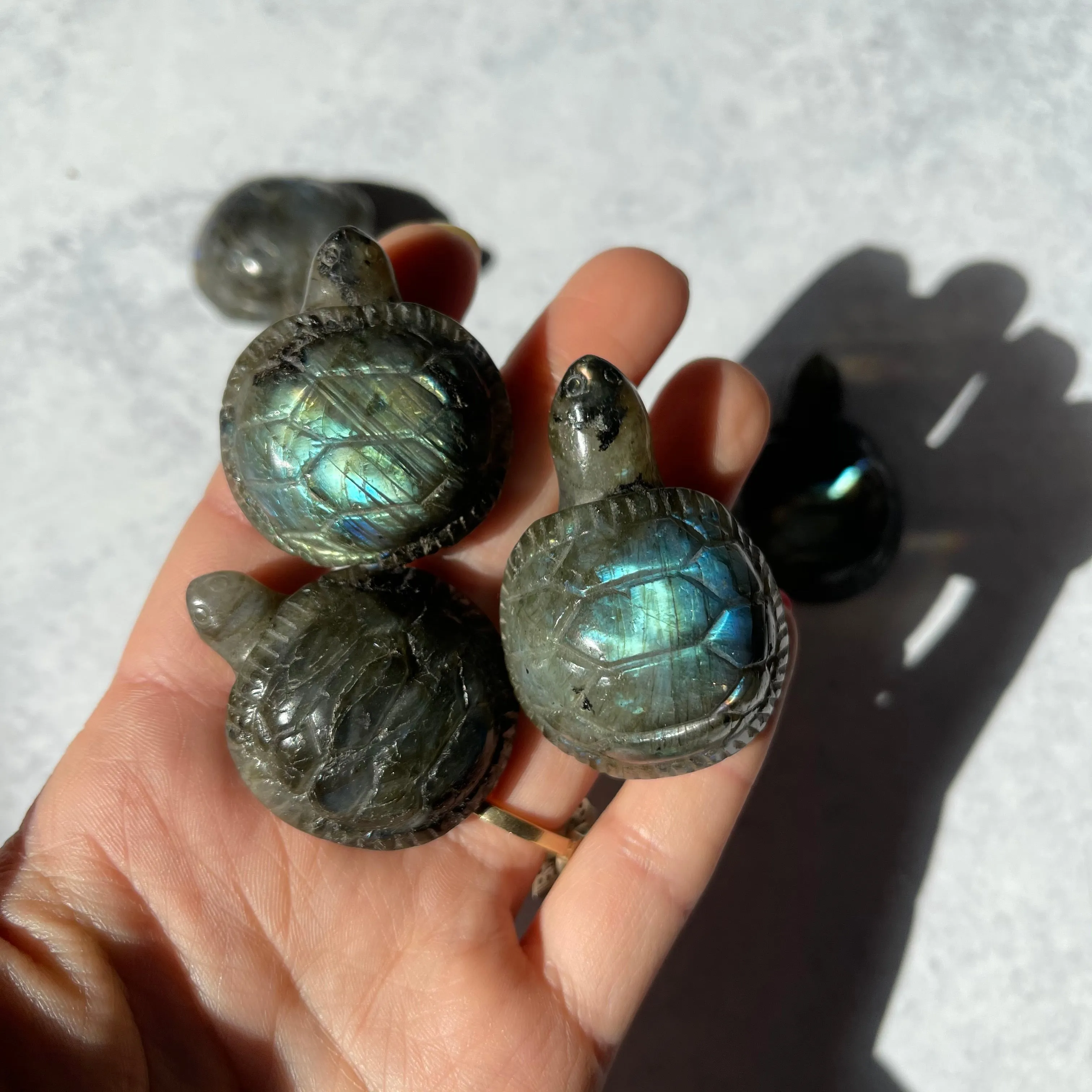 Small Labradorite Turtle