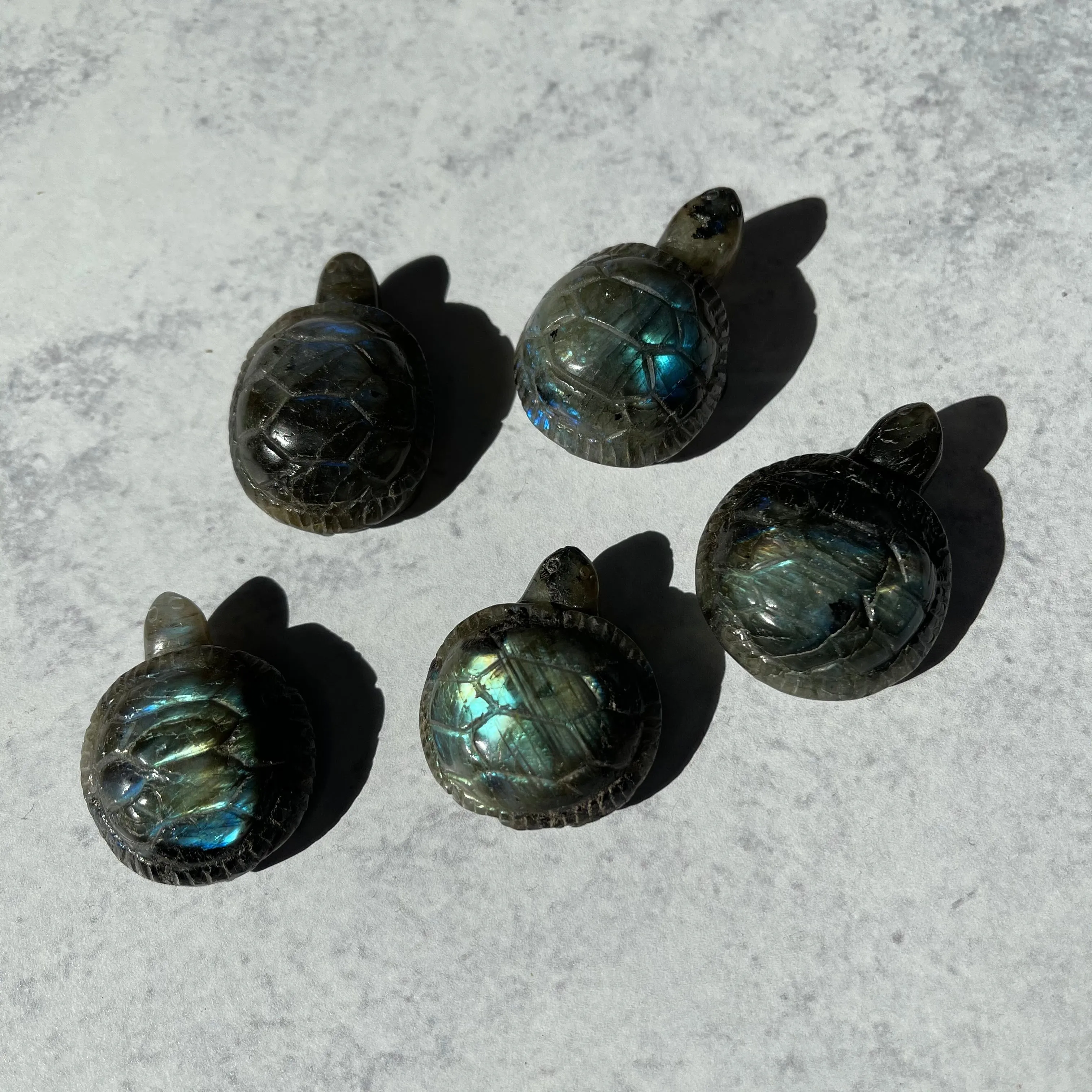 Small Labradorite Turtle