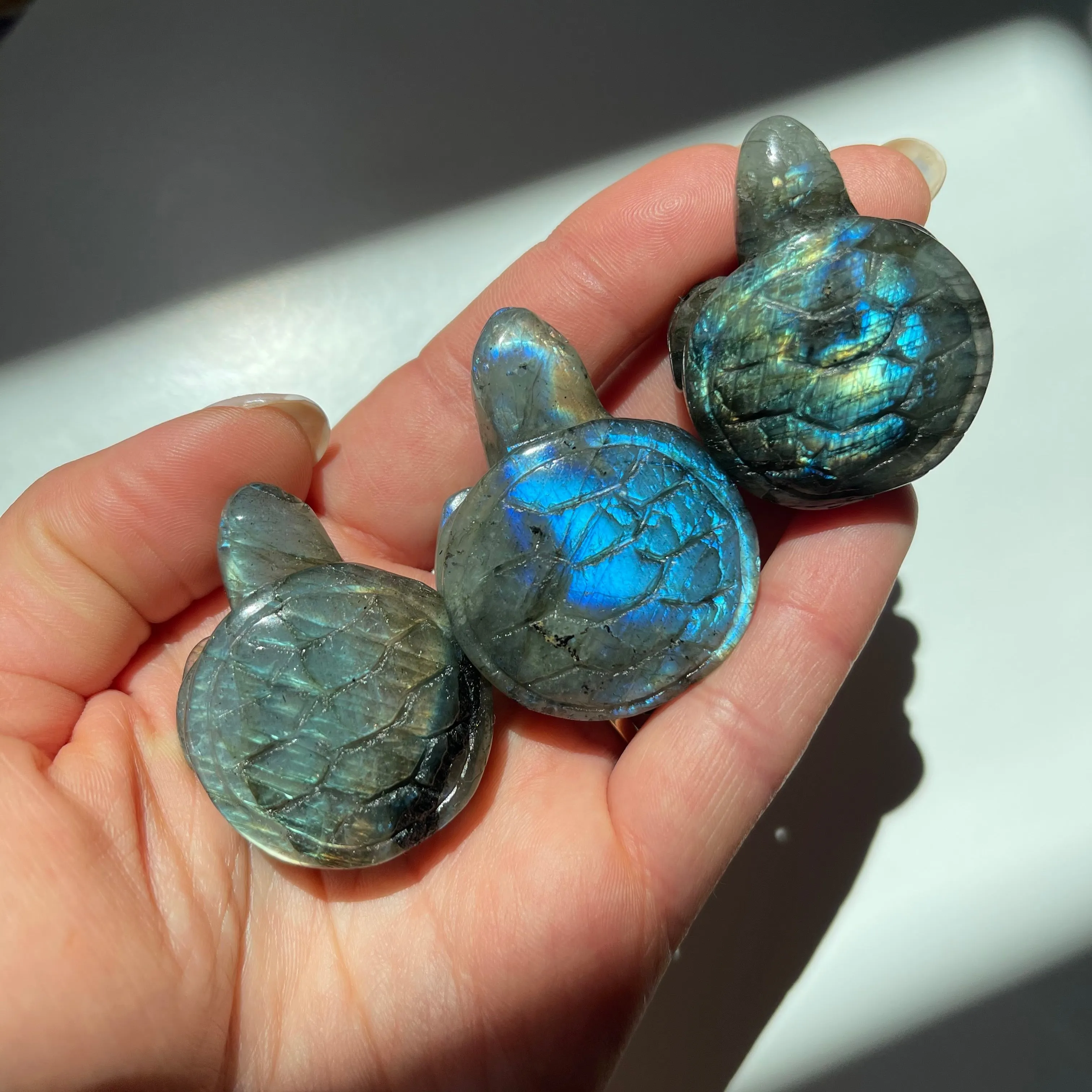 Small Labradorite Turtle