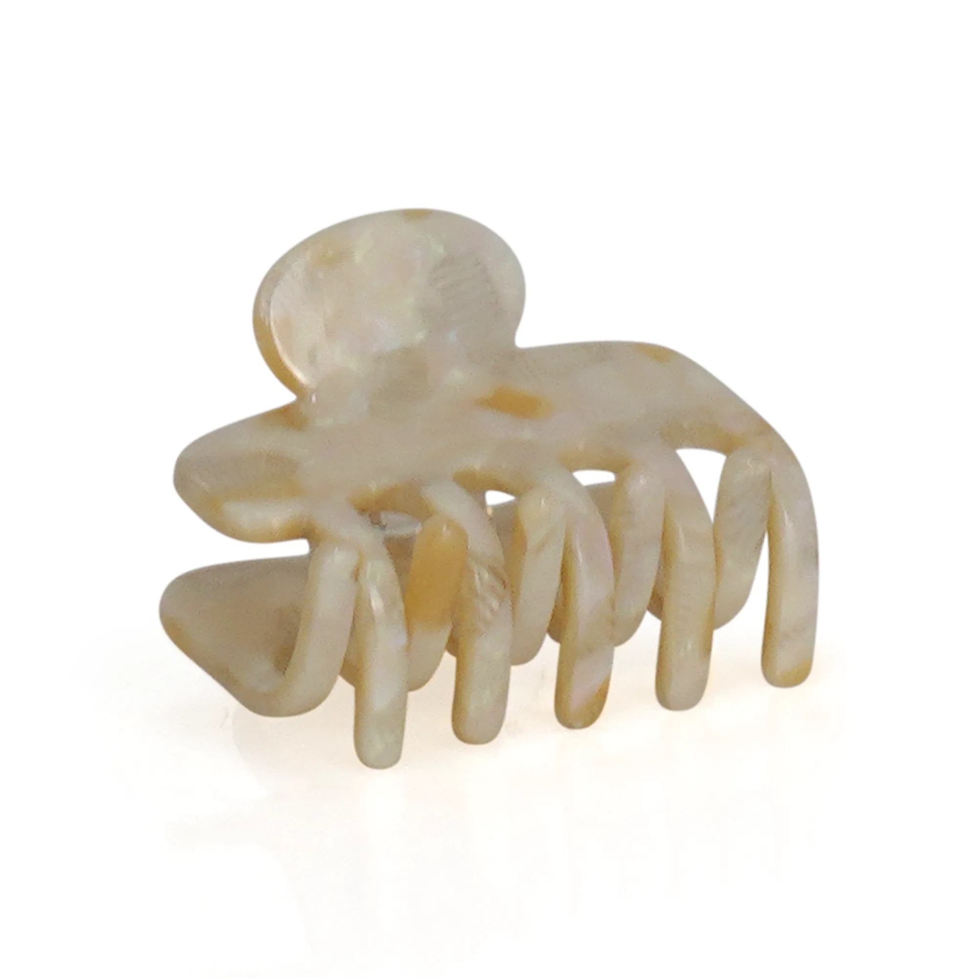 SMALL OCTOPUS JAW